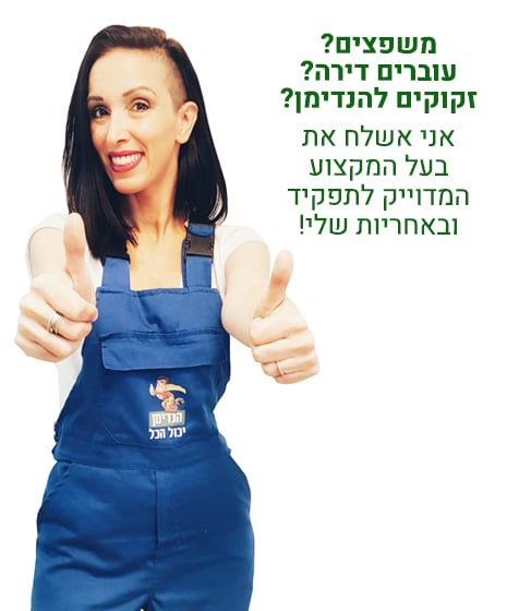 הנדימן יכול הכל